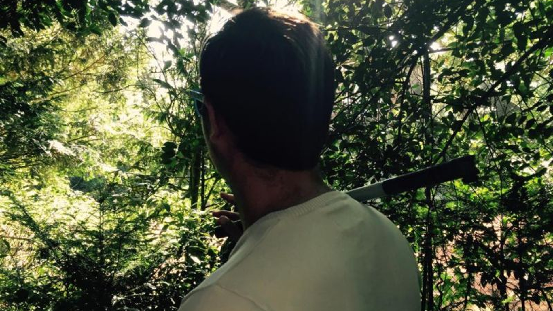 11205483_1617883031800329_8692903319183458176_n