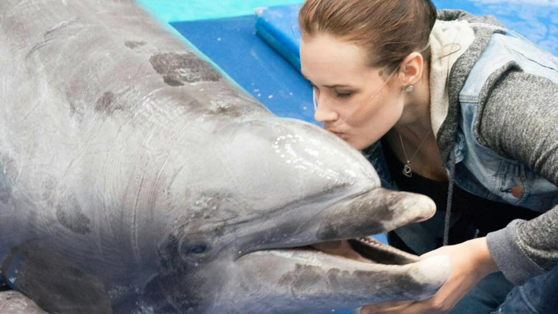 i282037939671926552._szw1280h1280_