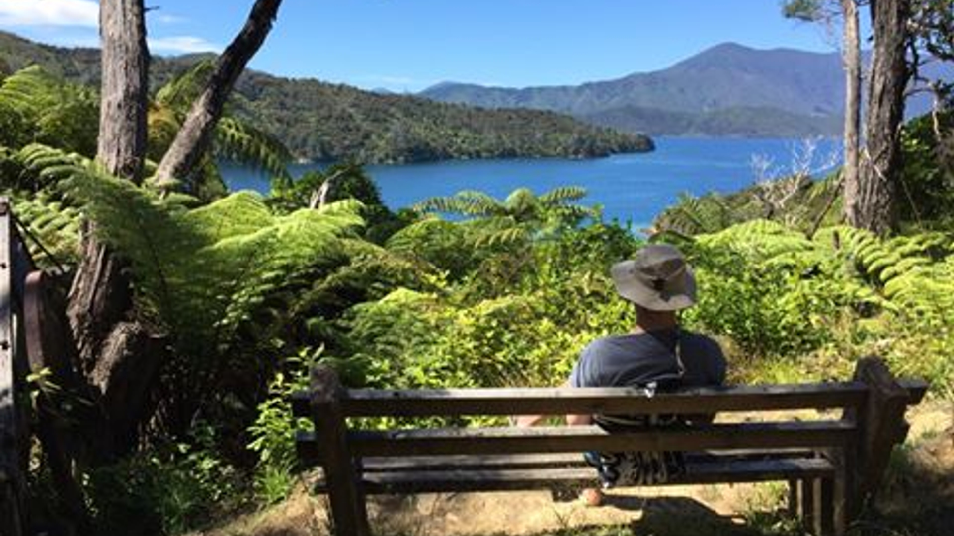 11075202_1566985160223450_5664799799216202309_n